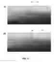 Fig. 23 - Avian detection systems and methods