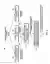 Fig. 03 - INTELLIGENT HORIZON SCANNING