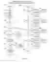 Fig. 21 - Systems and methods of simulating user intuition of business relationships using biographical imagery