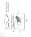 Fig. 09 - TRANSACTION FEE SURFACING SYSTEM