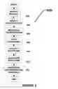 Fig. 06 - Method and system for collaborative enterprise development