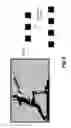 Fig. 06 - DISPLAY DEVICE AND CONTROL METHOD THEREFOR