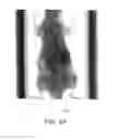 Fig. 07 - Image processing apparatus, image processing method and image processing program