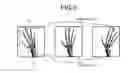 Fig. 06 - Medical image processing apparatus and method for medical image processing