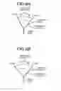 Fig. 07 - Medical image processing apparatus and method for medical image processing