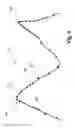 Fig. 07 - Non-uniform curve sampling method for object tracking
