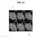 Fig. 15 - Ultrasound imaging apparatus and method of controlling the same