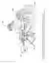 Fig. 18 - Systems to measure yaw, spin and muzzle velocity of projectiles, improve fire control fidelity, and reduce shot-to-shot dispersion in both conventional and air-bursting programmable projectiles