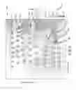 Fig. 10 - Systems and methods for visualizing and analyzing cardiac arrhythmias using 2-D planar projection and partially unfolded surface mapping processes
