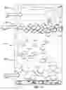 Fig. 14 - Gaming device, system and method for providing cascading progressive awards