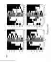 Fig. 19 - DISPLAY DEVICES AND METHODS FOR GENERATING IMAGES THEREON