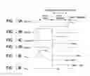 Fig. 15 - Display device having shared column lines