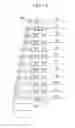 Fig. 12 - Display device including gate driver including repetition units of stages