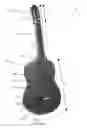 Fig. 02 - Acoustic instrument with neck through body