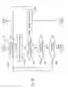 Fig. 48 - Music yielder with conformance to requisites