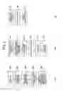 Fig. 06 - Optical information reproduction device and optical information reproduction method