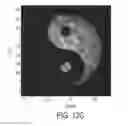 Fig. 12 - Systems and methods for generating complex vectorial optical fields
