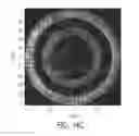 Fig. 17 - Systems and methods for generating complex vectorial optical fields