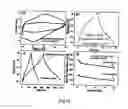 Fig. 18 - All-solid-state-supercapacitor and a process for the fabrication thereof