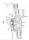 Fig. 10 - Hand-actuated transmitter unit