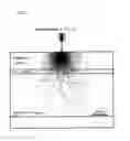 Fig. 04 - Sample holder for scanning electron microscope, scanning electron microscope image observation system, and scanning electron microscope image observation method