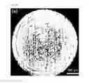 Fig. 09 - Quantitative analysis method using mass spectrometry wherein laser pulse energy is adjusted