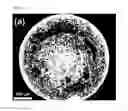 Fig. 13 - Quantitative analysis method using mass spectrometry wherein laser pulse energy is adjusted