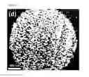 Fig. 16 - Quantitative analysis method using mass spectrometry wherein laser pulse energy is adjusted