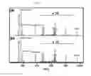 Fig. 22 - Quantitative analysis method using mass spectrometry wherein laser pulse energy is adjusted