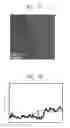 Fig. 08 - METHOD OF FORMING A METAL SULFIDE ALLOY AND AN ELECTRONIC DEVICE WITH THE METAL SULFIDE ALLOY