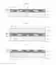 Fig. 18 - Manufacturing method of semiconductor device and semiconductor device thereof