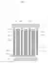 Fig. 07 - Power semiconductor element