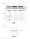 Fig. 03 - Protective layer(s) in organic image sensors