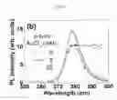 Fig. 08 - LIGHT EMITTING DEVICE LIGHT-AMPLIFIED WITH GRAPHENE AND METHOD FOR MANUFACTURING SAME