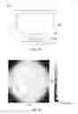 Fig. 15 - Light-emitting apparatus