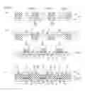 Fig. 07 - REFLECTING RESIN SHEET, LIGHT EMITTING DIODE DEVICE AND PRODUCING METHOD THEREOF