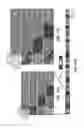 Fig. 15 - Domain wall injector device using fringing fields aided by spin transfer torque
