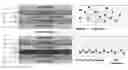 Fig. 01 - Formation of conjugated polymers for solid-state devices