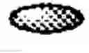Fig. 03 - Formation of conjugated polymers for solid-state devices