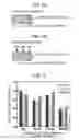 Fig. 03 - ORGANIC EL ELEMENT AND METHOD FOR MANUFACTURING SAME
