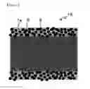 Fig. 02 - Separator having porous coating layer, method for manufacturing the same and electrochemical device having the same