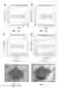 Fig. 15 - DESIGN, USE AND FABRICATION OF MICROSCAFFOLDS AND NANOSCAFFOLDS