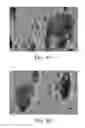 Fig. 05 - Process for fabrication of enhanced β″-alumina solid electrolytes for energy storage devices and energy applications