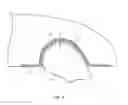 Fig. 10 - Electronic device with peripheral display antenna