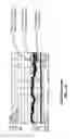 Fig. 02 - Mitigation of interference between FM radio and display subsystems on a mobile device