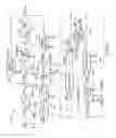 Fig. 15 - Fractional-N all digital phase locked loop incorporating look ahead time to digital converter