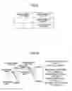 Fig. 08 - User apparatus and user assignment information estimation method