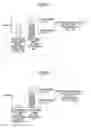 Fig. 21 - User apparatus and user assignment information estimation method