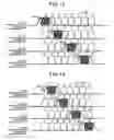 Fig. 08 - Demultiplexing apparatus, multiplexing apparatus, and relay apparatus