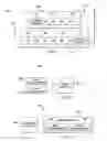 Fig. 02 - Networking coding system in a network layer